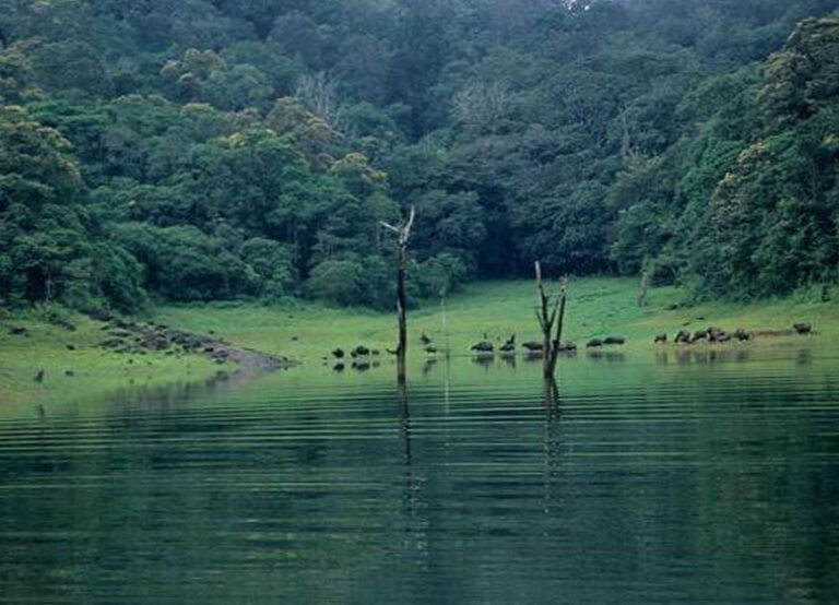 THEKKADY LAKE