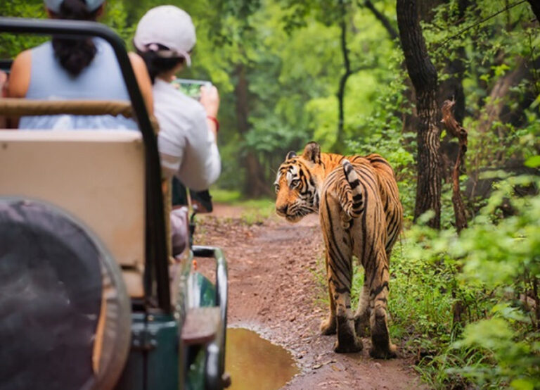 THEKKADY TIGER RESERVE