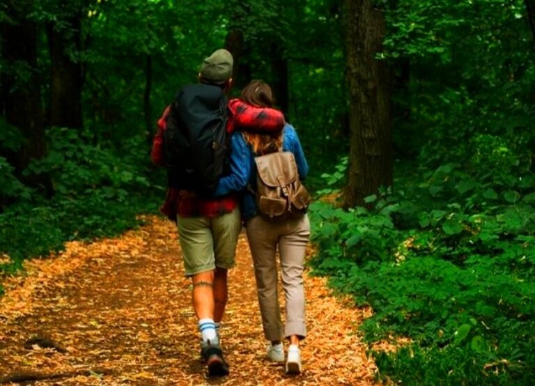 Thekkady Forest Greenery