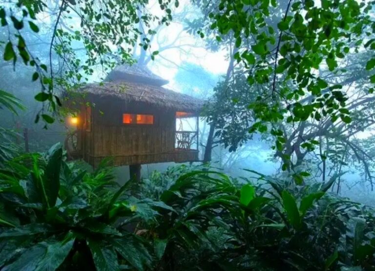 Thekkady Spice Gardens