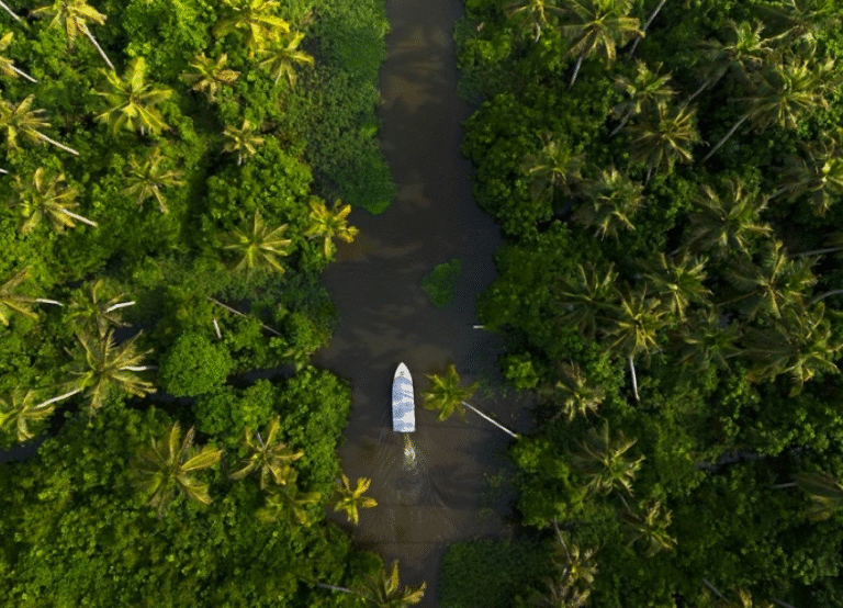 Alleppey Backwater Cruise