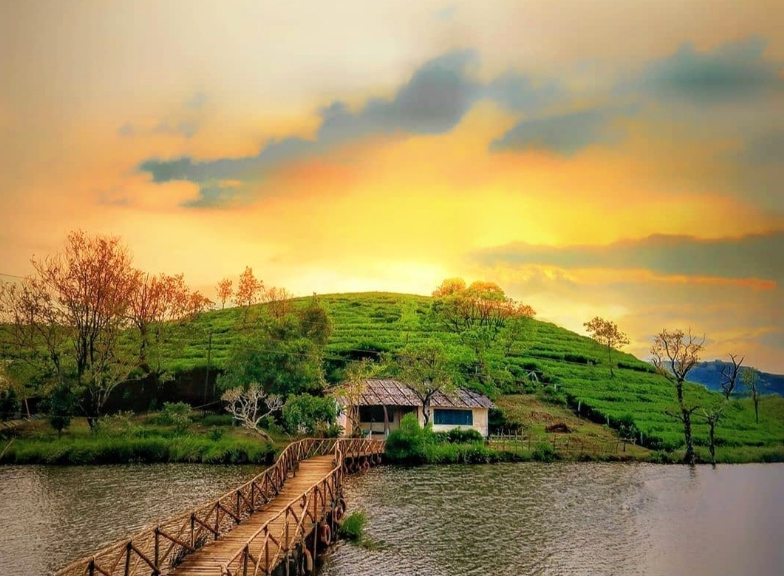Munnar Vagamon Alleppey
